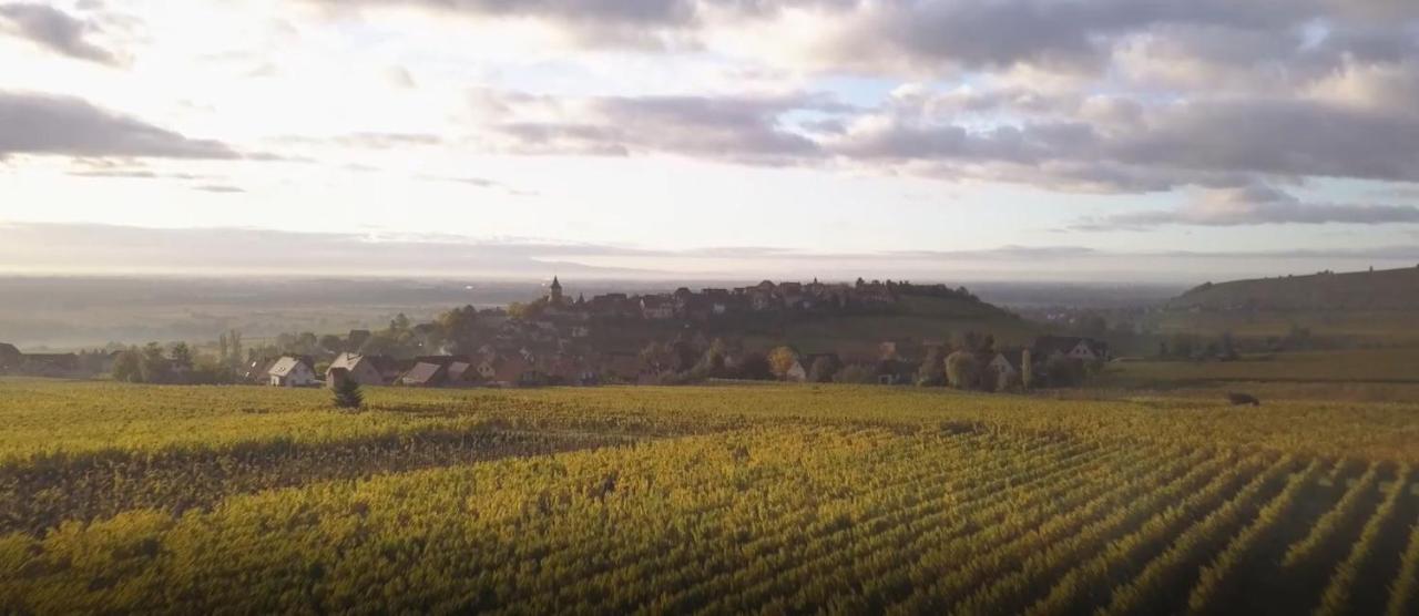Le Vent D'Ange Vila Zellenberg Exterior foto